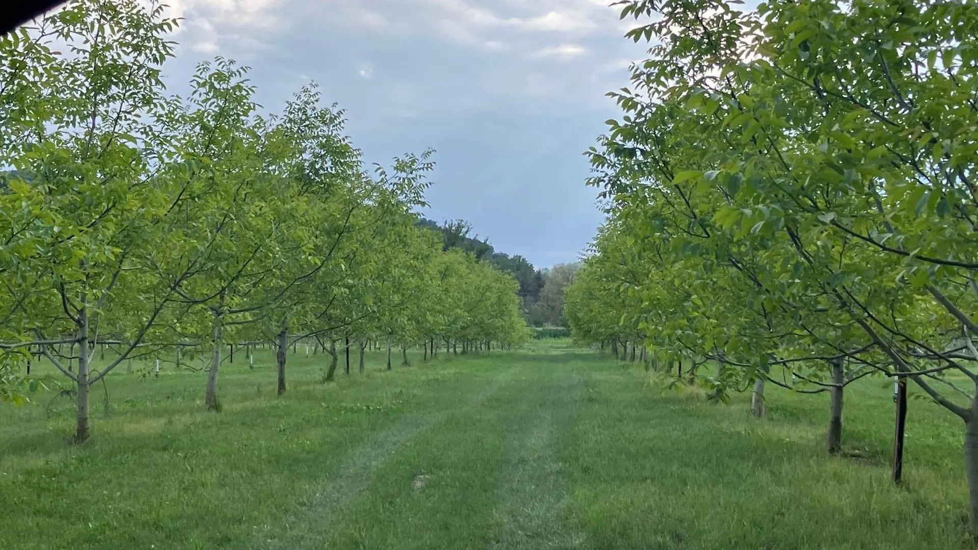 Agriturismo B&B Lombardi Bologna - San Lazzaro La Mura San Carlo Ιταλία